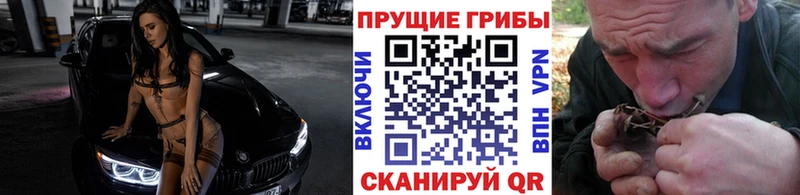 Галлюциногенные грибы Psilocybine cubensis  Павловская 
